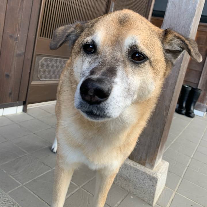 39986f40 3e95 44e9 b066 f6c2127bd595 1637649360953