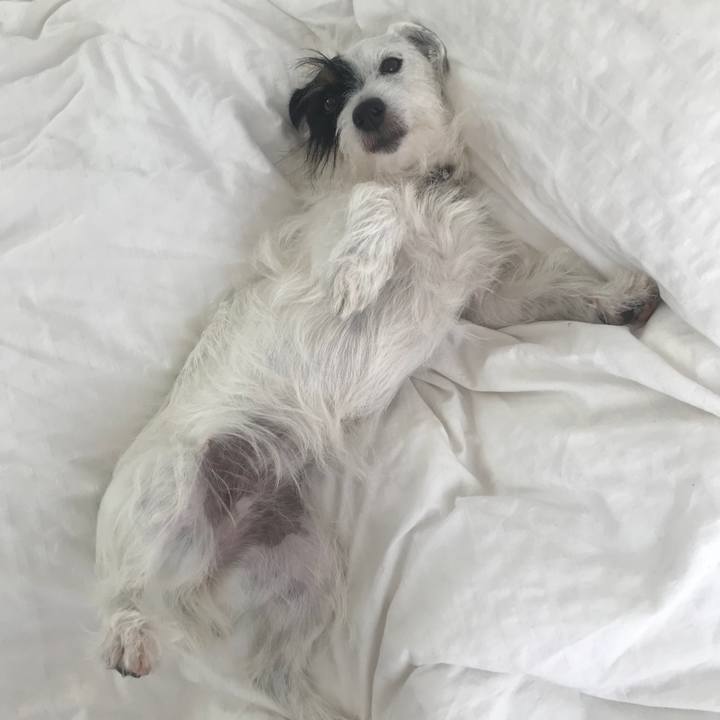 39987cb4 ade2 4644 a30a 0beb2aad6c15 1534118925008