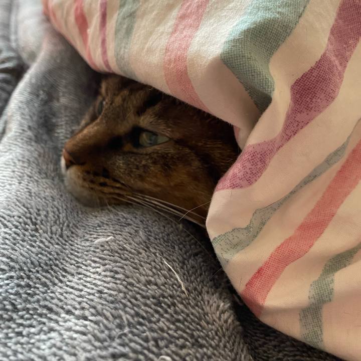 3998a3c9 c941 442d 89d4 7807a1c45473 1642835089892