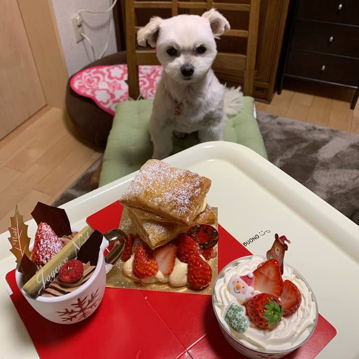 3998acde cc75 4fe9 b857 17d337698aeb 1608708735058