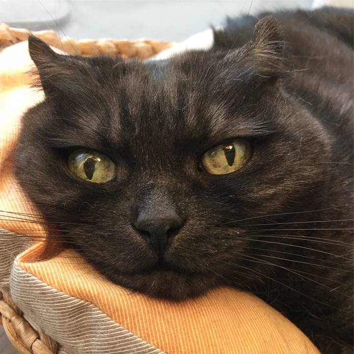 3998b13a 6bba 4d1c 9d51 4c439a92f345 1557410913130