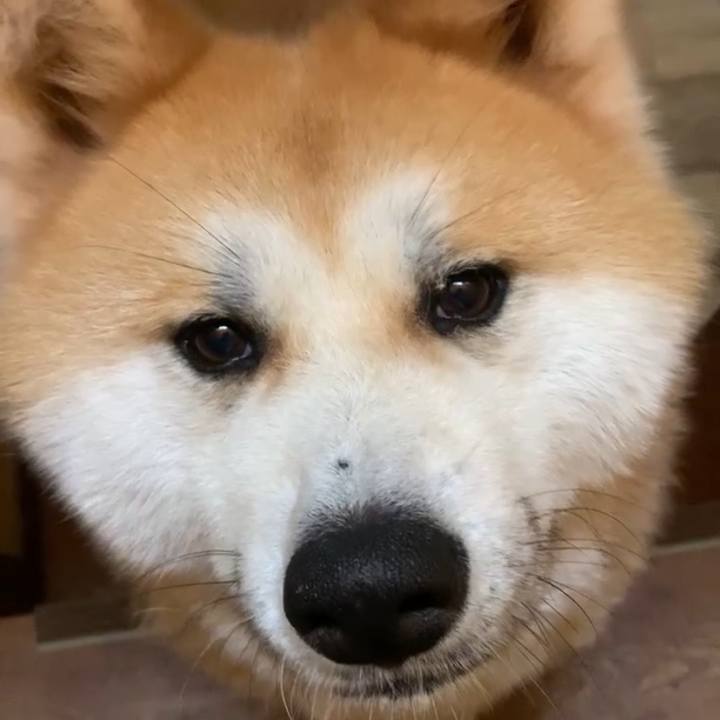 3998b23a 2148 4e8f b71c e028cf4fe509 1717225621478