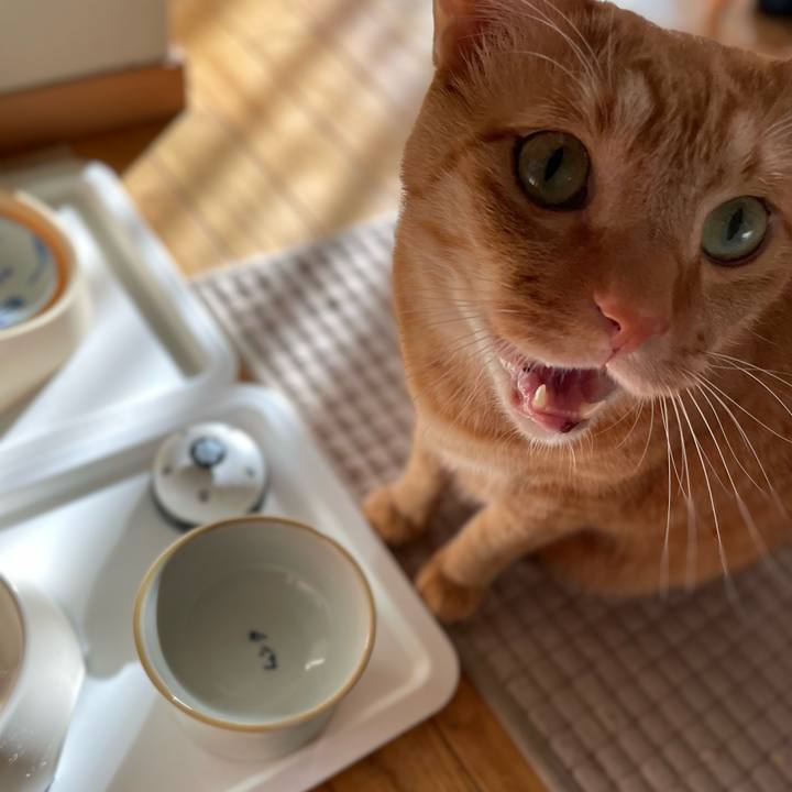 3998c0de d67b 496d 9921 07d893472abb 1667033793610