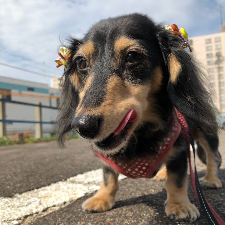 39992b97 c479 4af5 9681 10494c56caea 1567037760054