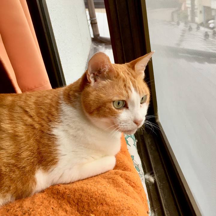 39993865 9bb0 45aa ada2 fec65a07a03c 1563350425837