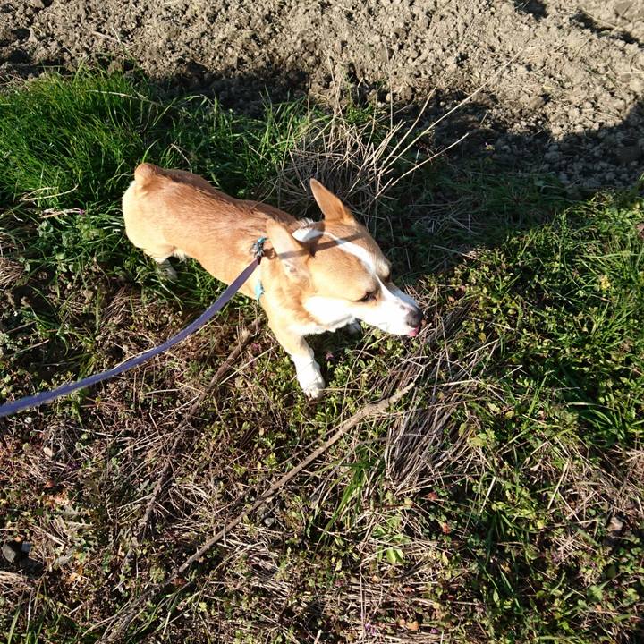 39994d79 c764 46af a748 7366da508ce4 1579515836920