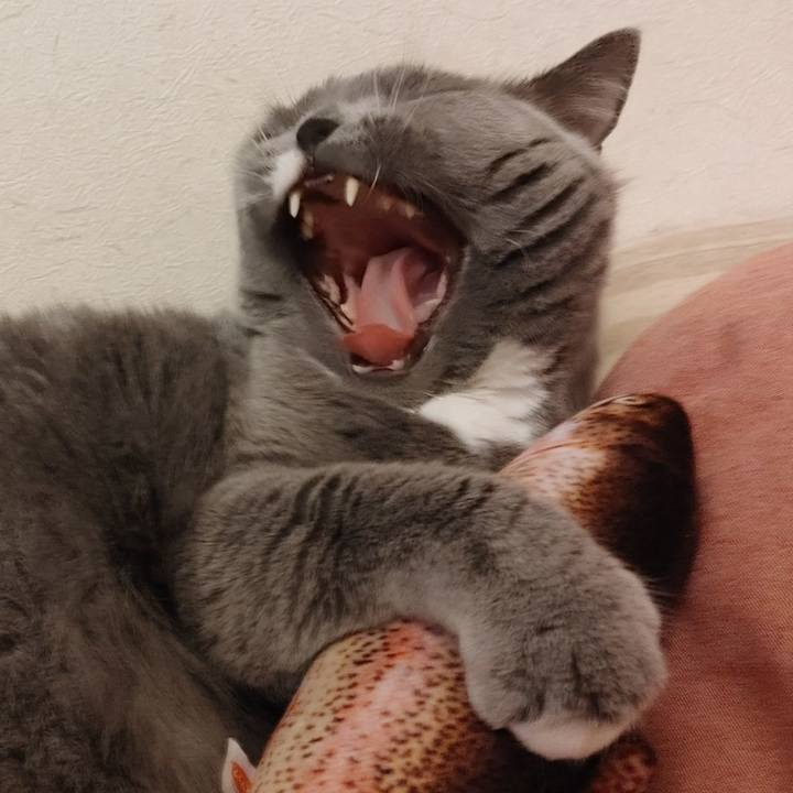 39996346 d9bf 4efb 9e62 b1bee4fe4624 1614509903269