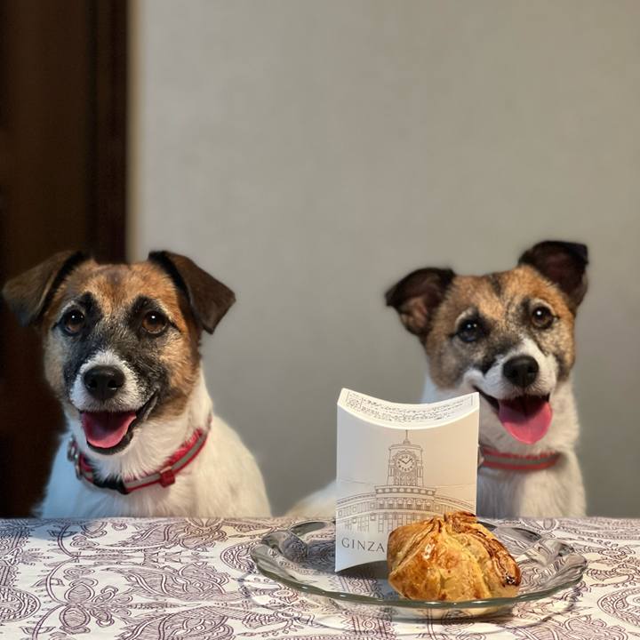 399991b7 fbb8 4ff3 a009 00686c8caac6 1663245916621