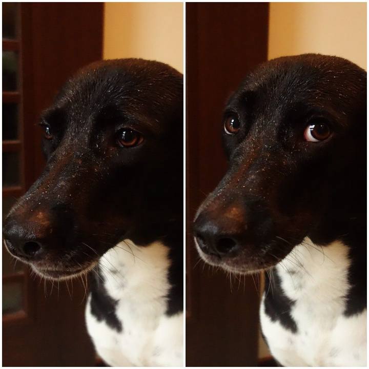 39999bbc 35ce 4854 aa2d 9956910dc532 1600991588865