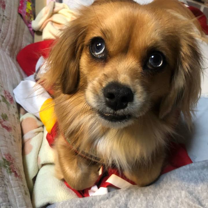 3999c164 05c2 4e32 a4c9 5763fc771e6b 1543614269834