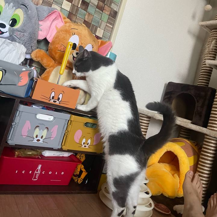 3999dc2d 27d6 43fd a802 df2a299a888a 1689925595782