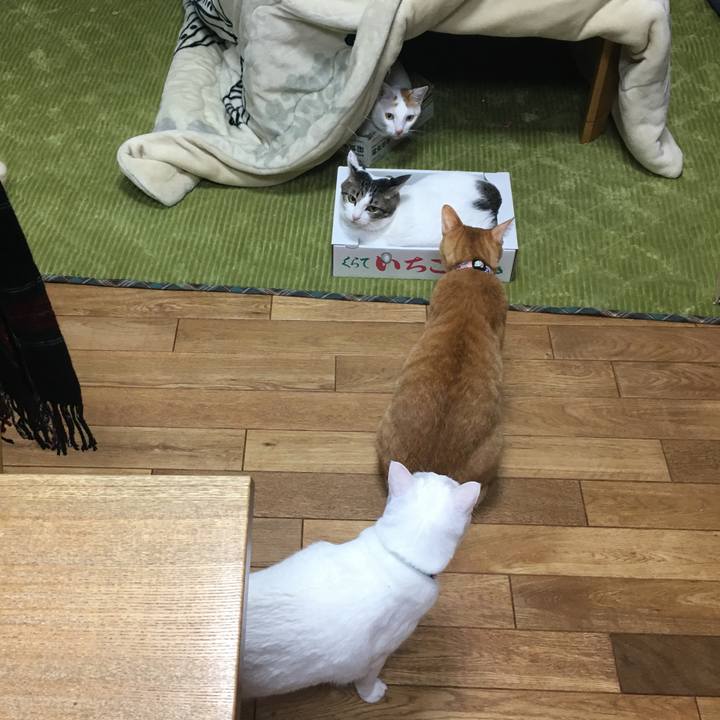 399a6405 71a5 4f4a 8899 e22947a44920 1546601587411