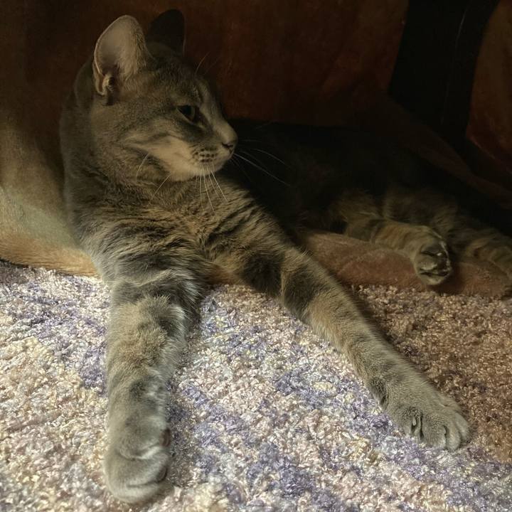 399a6794 8414 482b ae52 f29d2e830c0a 1602320254521