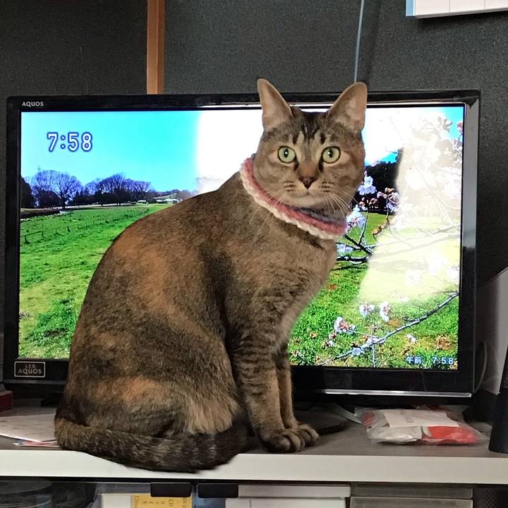 399ac32d eb03 4809 bbc5 47eb6b02d10e 1618095867636