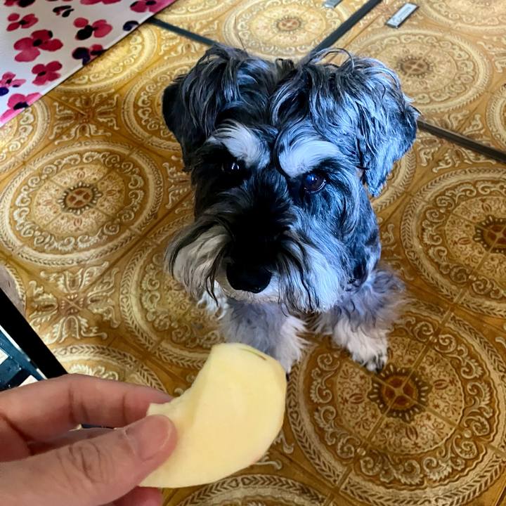 399acf95 71d8 42cd 8ac8 e2923693b3d1 1729001637985