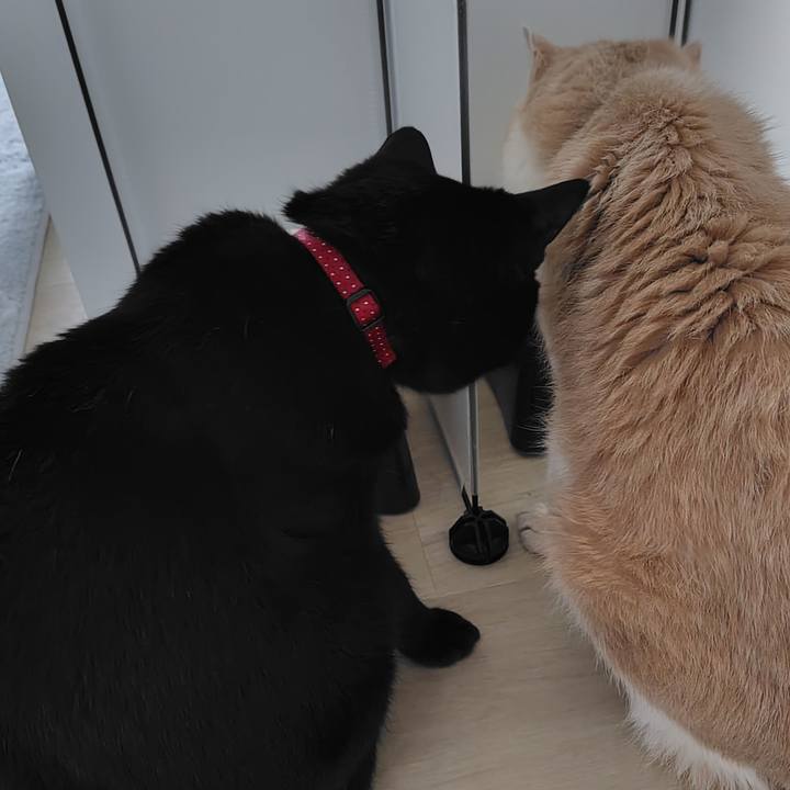 399afd7c fba8 4ec5 84a0 189b44716699 1752740768394