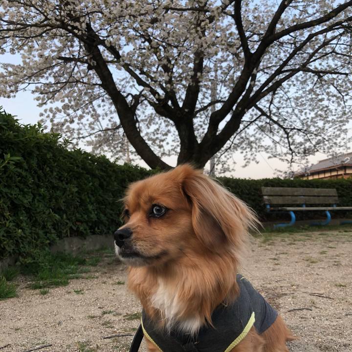 399b2b39 b1e6 4fb4 8ccf b1d45f97789f 1522273333470