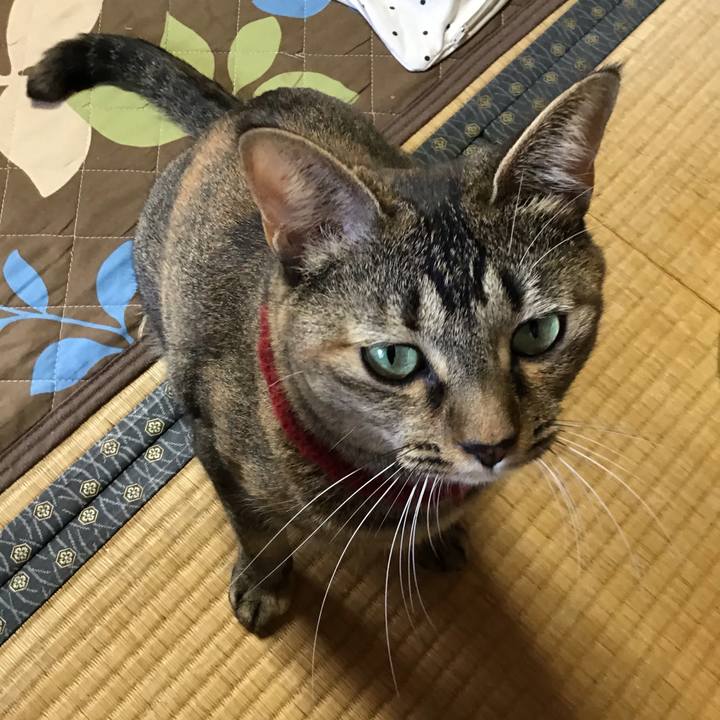 399b3c75 9f7a 423b a61b 923a8c4f3c60 1602642744461