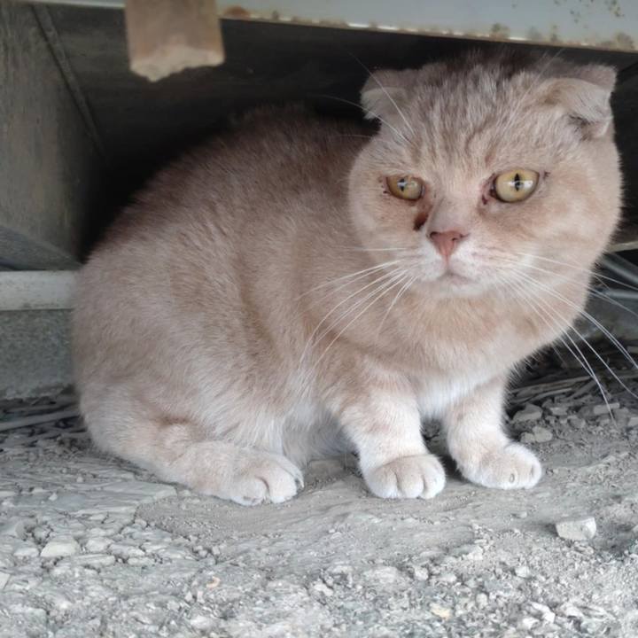 399b402e 956e 4800 8c9e 227e65ab6fa1 1760399774292