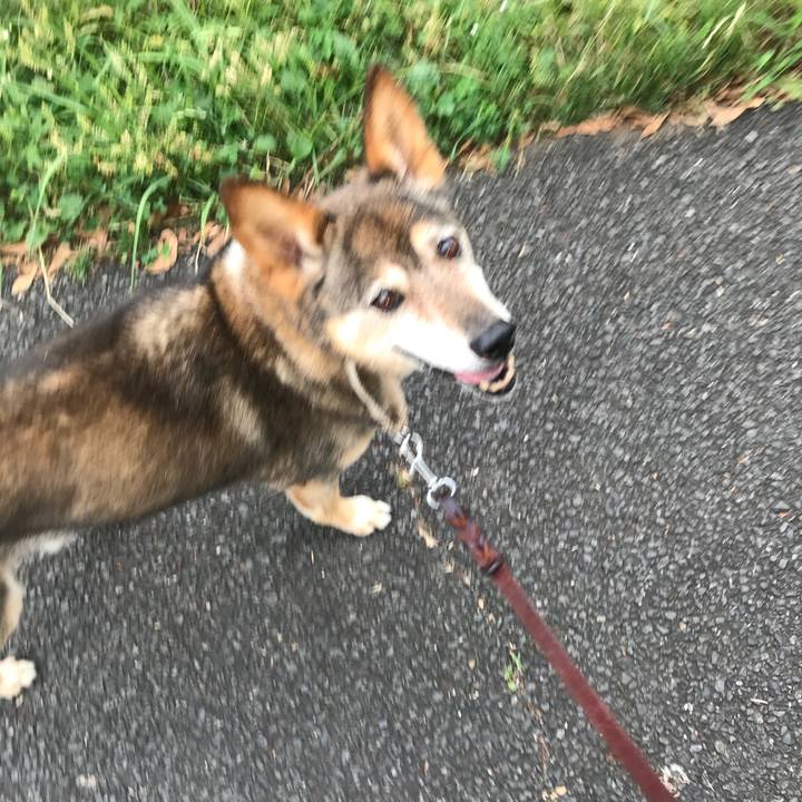 399b5322 86b3 4bb9 a0a2 9a69c985a7e1 1531303032133