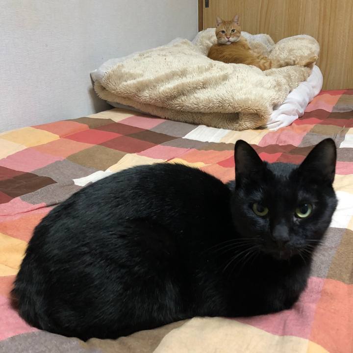 399b7140 3188 4797 ba08 2758403a3d4f 1669758328010