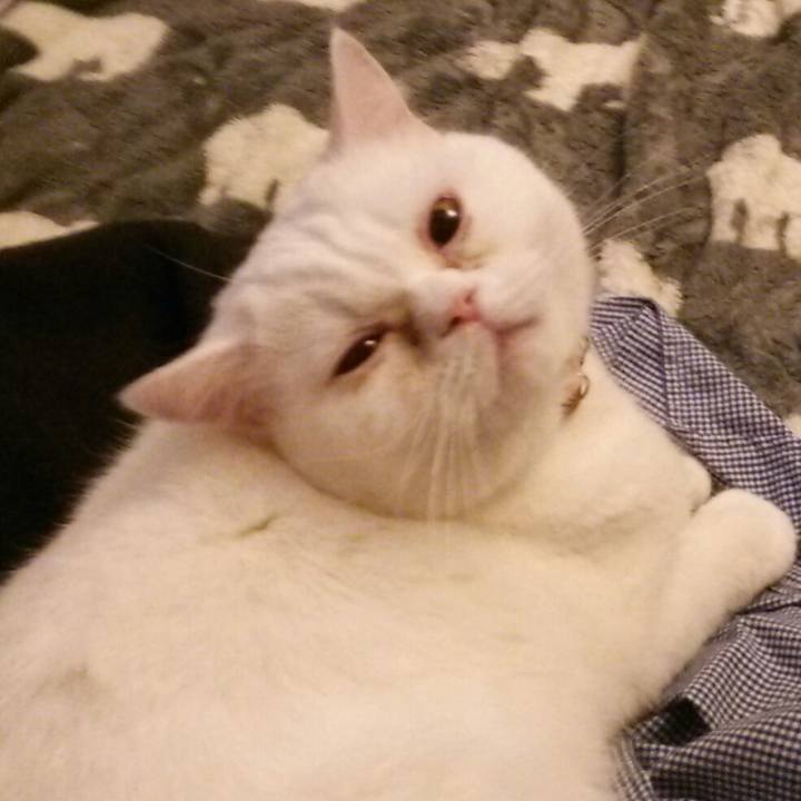 399b815a 5e4c 4055 9a5e 13c1b426ac59 1522363742188