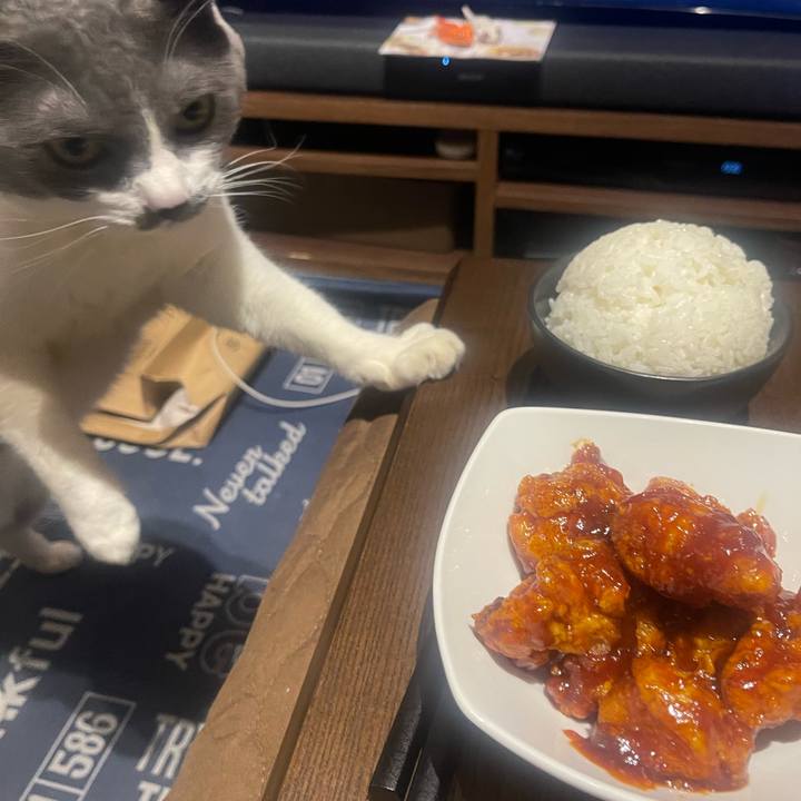 399b85ec 1b9f 45e0 83b4 8234cc319715 1711623096536