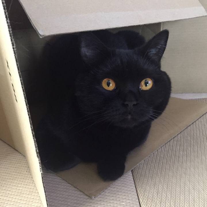 399bc2eb d29d 4d85 a8bd 0231eb1e0963 1524519948236