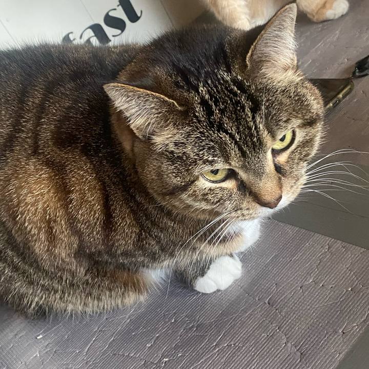 399bd9cd 66da 4ede be34 baa1786e195c 1678492246683