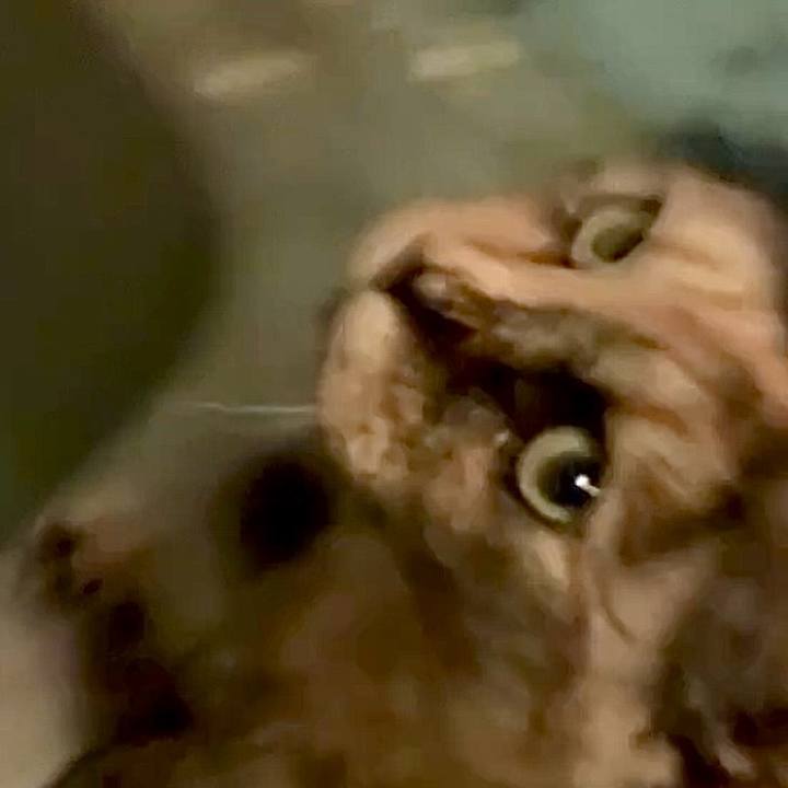 399bedb6 9c38 4ee1 8754 c91364038cca 1746821962761