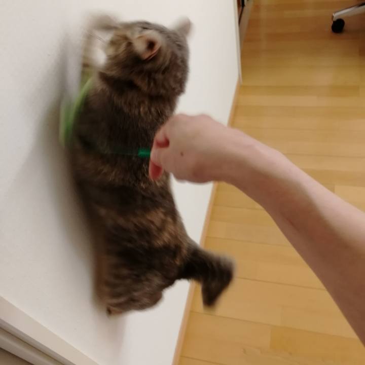 399bfc87 ee99 49eb 9a97 d86aafd98056 1529913797846