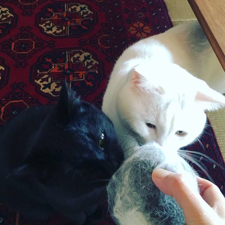 399c542d 5492 44d3 9955 25c6381fbbed 1550279787374