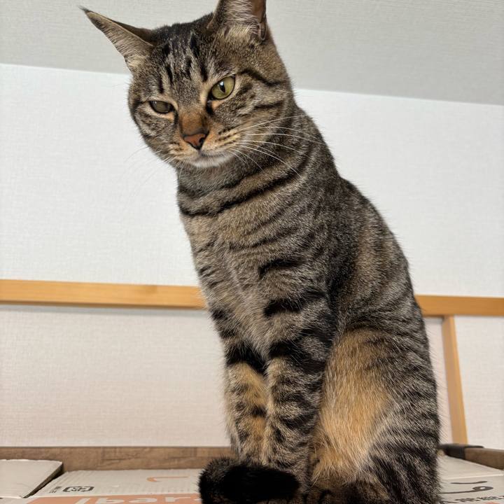 399c5990 52c9 416a 9607 79560e6022d6 1772674679460