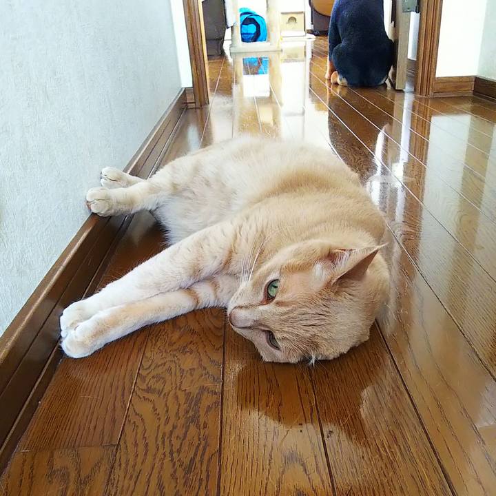 399c62b6 6cb3 48e3 9ada 2d5ccc649dc3 1690602177098