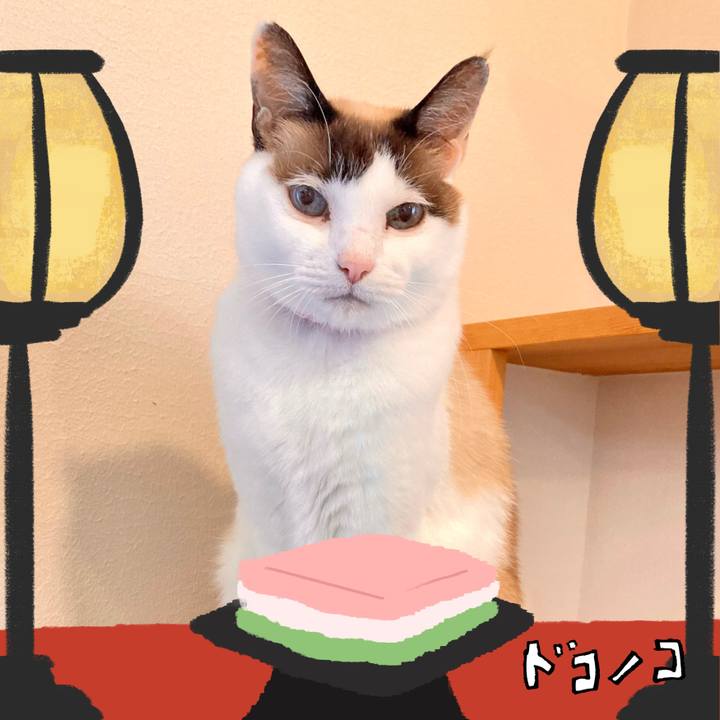 399c67d8 f263 420a 9282 c1c93f412ea3 1741085236848