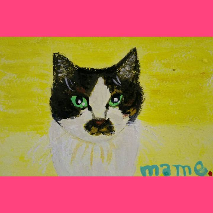 399c752c 436d 4308 8ecb 6d4c1e77c90e 1534859359337