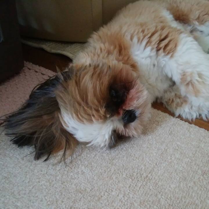 399cd82b fa2e 469e 8030 5a026ac87848 1559968707945