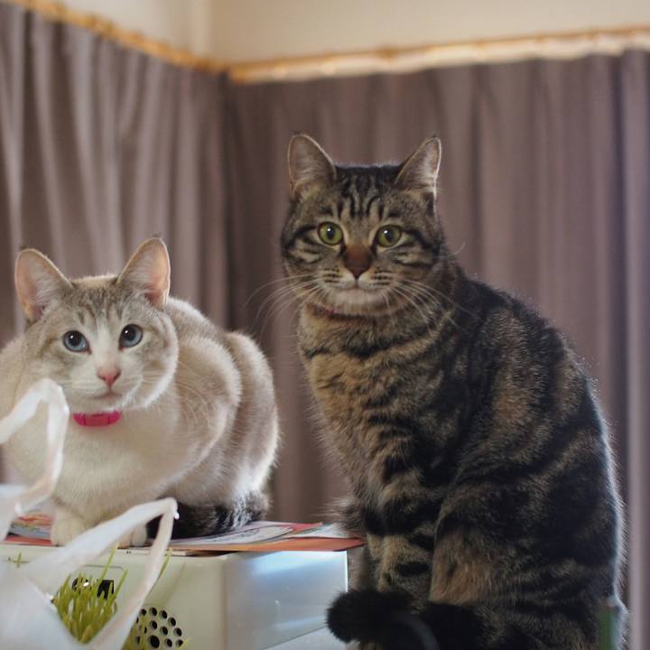 399ce9e5 01b8 411e b38e bdaccfca6a09 1518564534418