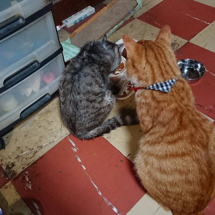 399d0d5a d9c4 44a7 8bd6 a83d5b5cfc89 1570229403708