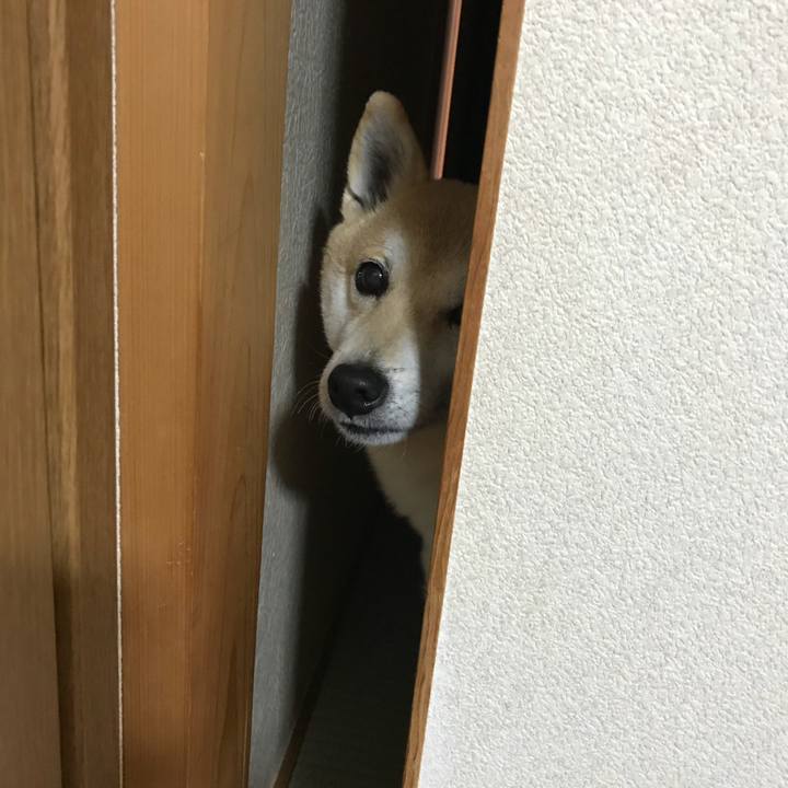 399d869b 8d33 4be1 915d f758b5f032a6 1518995727313