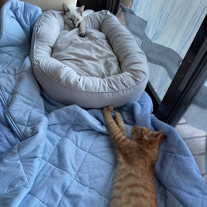 399d922b b523 4ea7 a124 2522165e4732 1729113989817