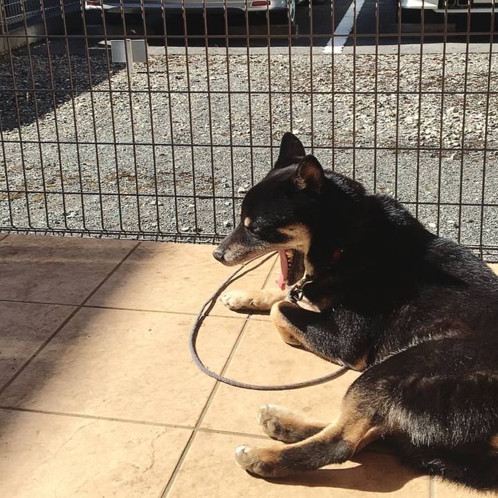 399d9d4b 72b4 41a3 ab39 3deeefe5b255 1549939547542