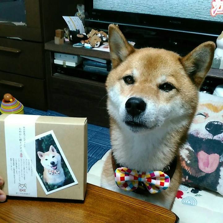 399dbf2a d388 4015 936b fd7d3147b89c 1565509869481