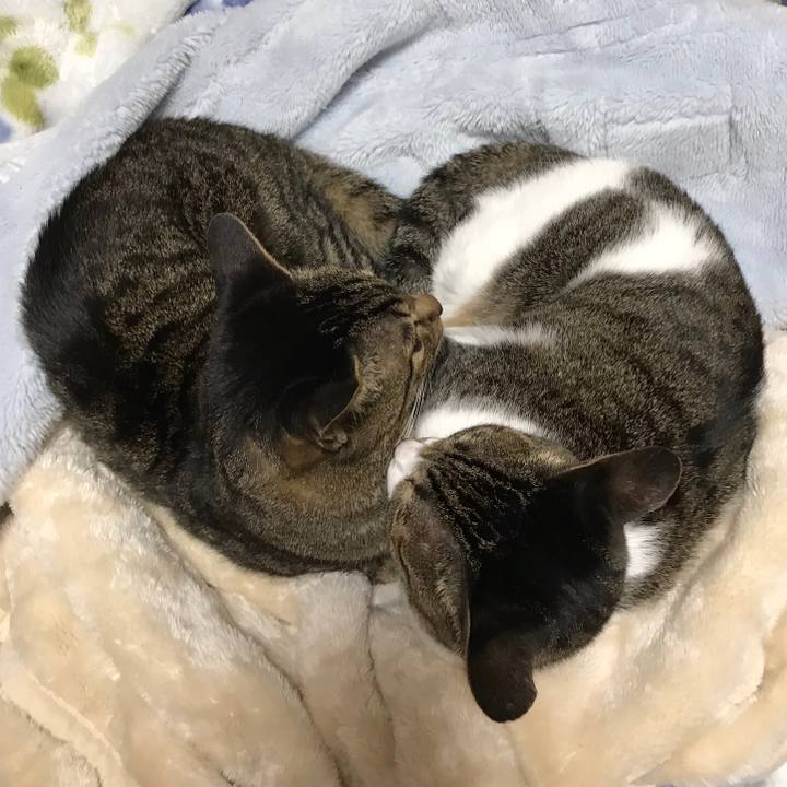 399e444e dca7 40bd 8503 15ad320c655c 1510968067265