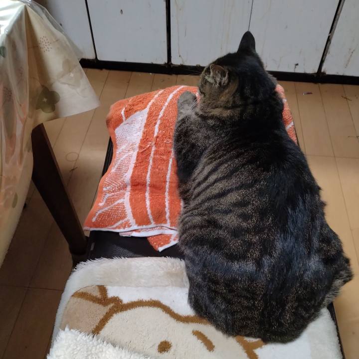 399e87d7 a3aa 47b0 9f39 8d5b467c229b 1700088579679