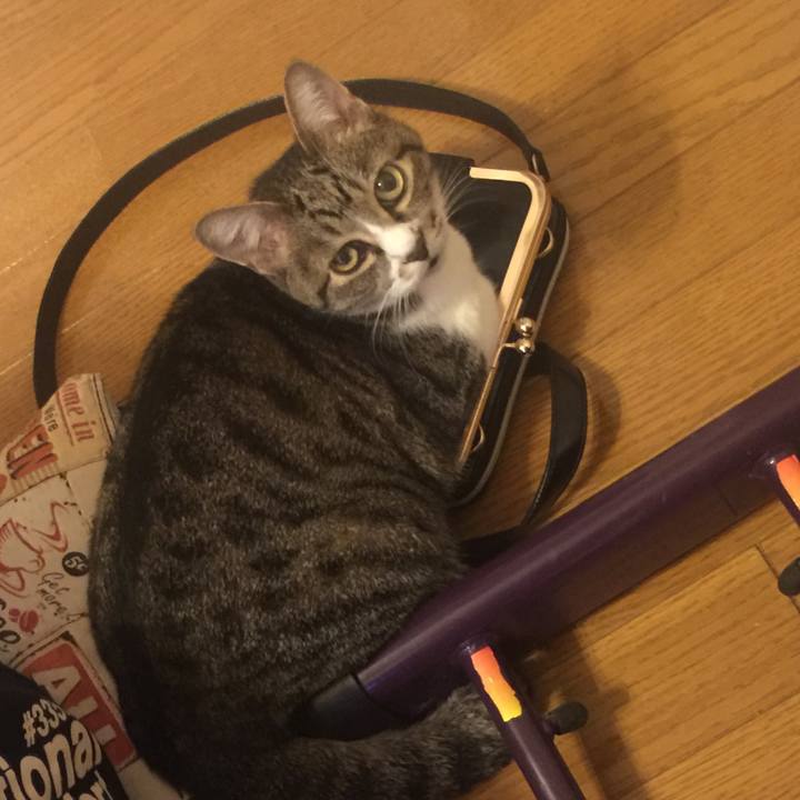 399e8953 675e 470e 902d ddd004ec88d6 1561467461145