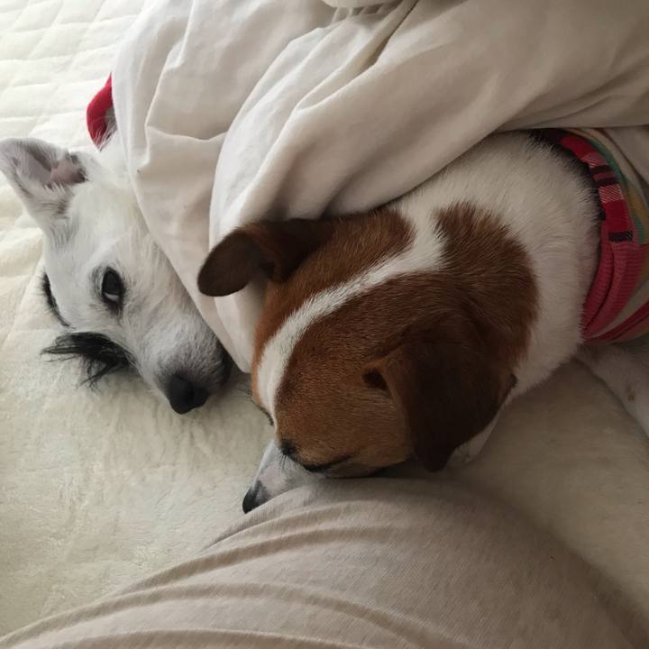 399ee7bf b14a 49a3 b004 cbd0fd0ecaa6 1542750425680