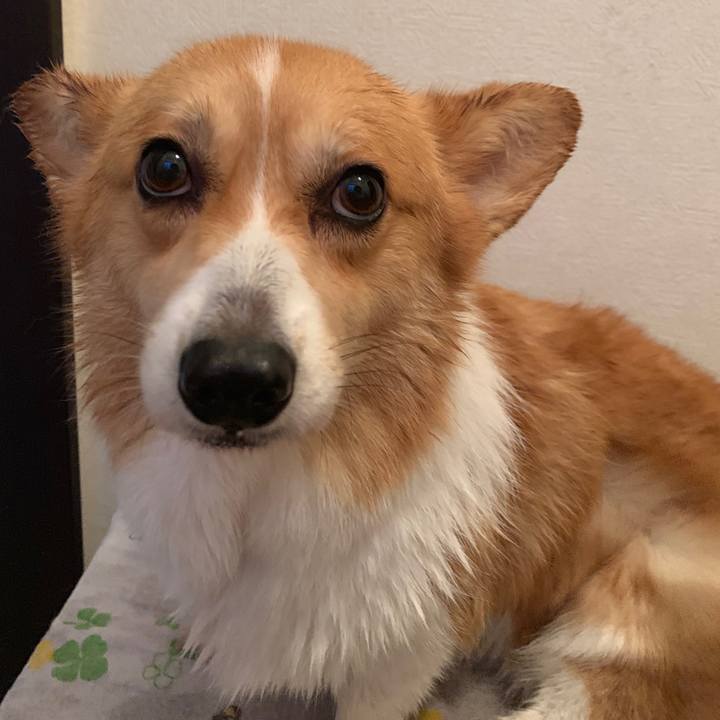 399eec02 18fa 4910 831a 4819cf1823b4 1564397506945