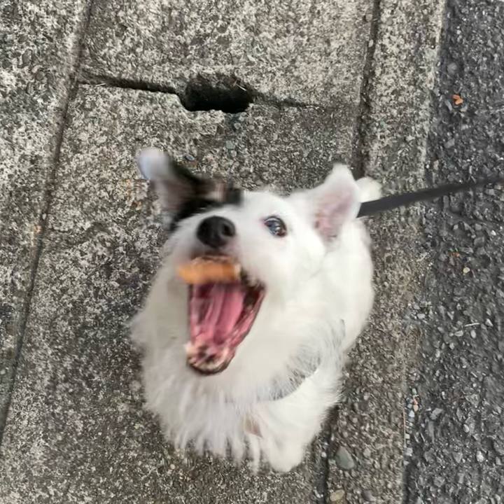 399f2cd0 b9f7 458a aaaf 3c04abd5cf5b 1692610585039