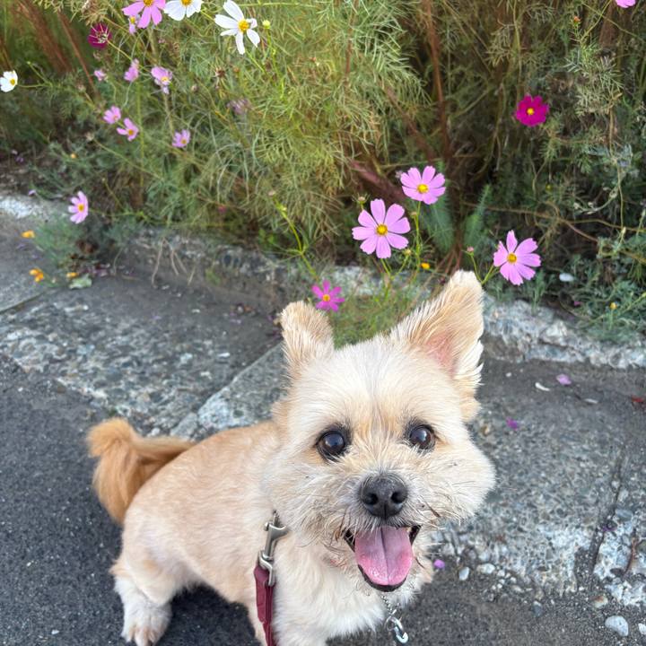 399f4643 8e9e 4ad6 b3a1 1c9a0d6f2e93 1757141840916